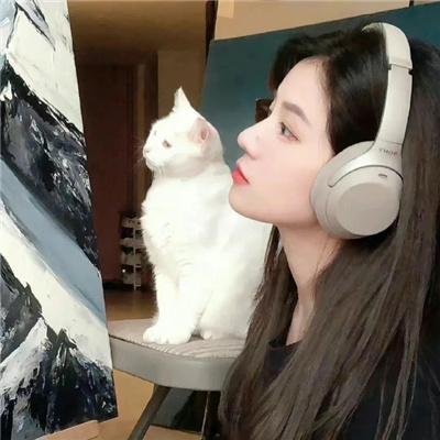 七品芝麻官